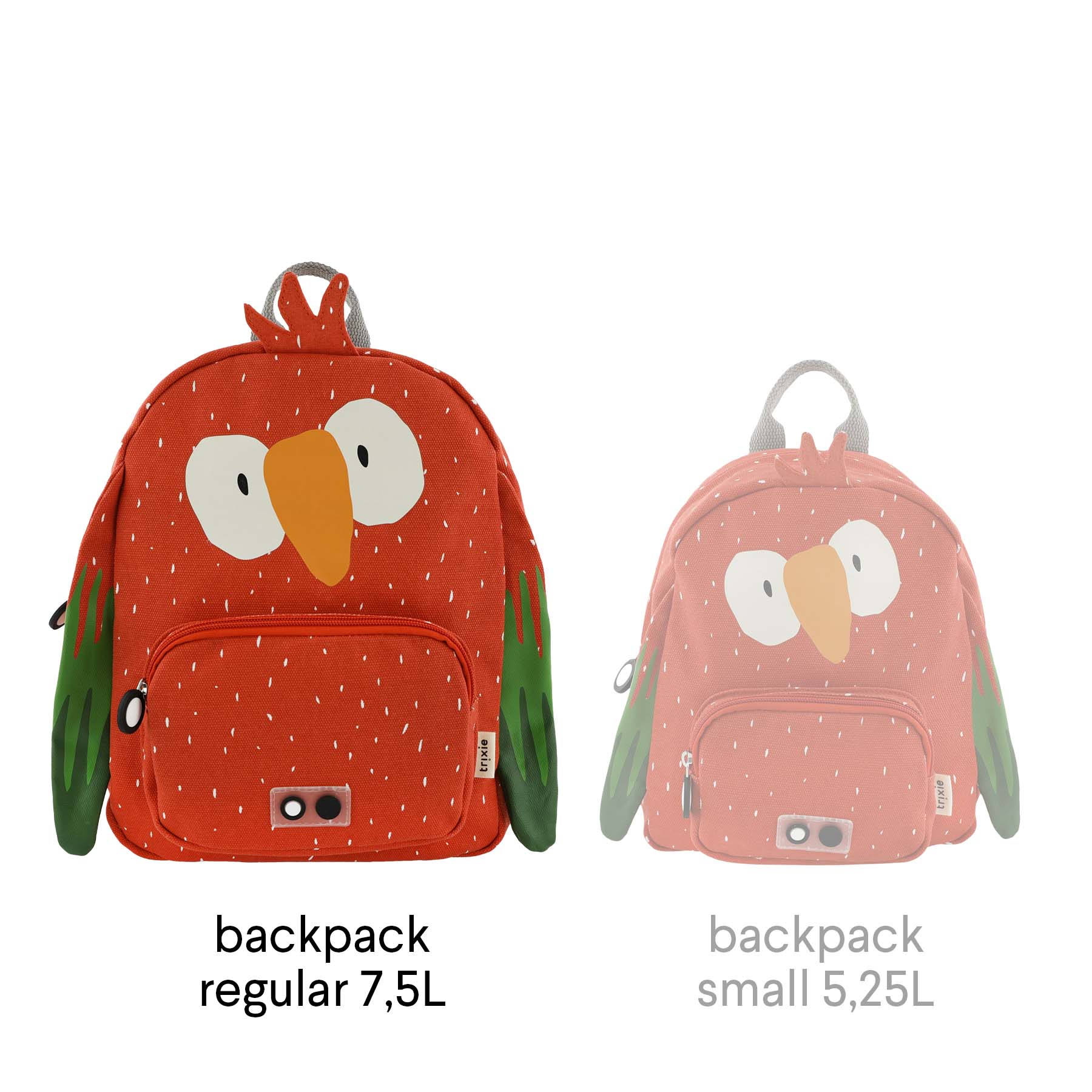 Backpack - Mr. Parrot
